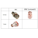 Кабельная сборка 50 Ом на RG-58 с разъемами BNC-male (угловой) - BNC-male, 20 метров Кабельная сборка 50 Ом на RG-58 с разъемами BNC-male (угловой) - BNC-male, 20 метров